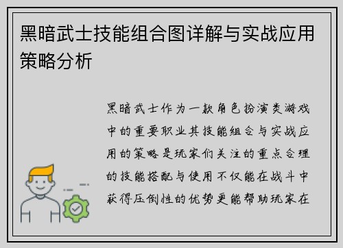 黑暗武士技能组合图详解与实战应用策略分析